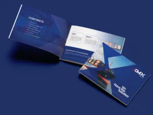 Company Profile for Dubai Startups